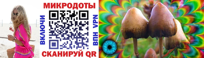 купить  цена  Краснозаводск  Псилоцибиновые грибы Cubensis 